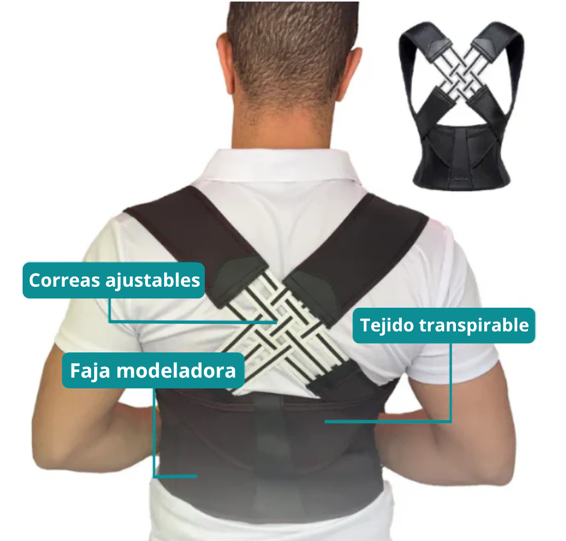 Sistema De Re-Adaptación Espinal