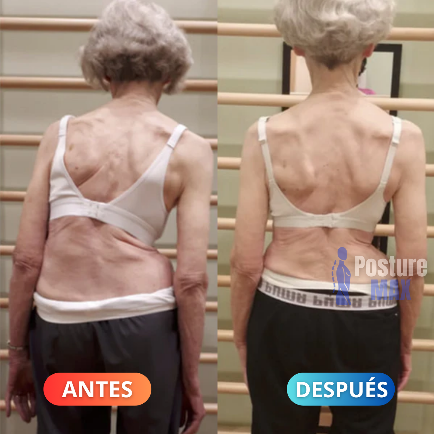 Sistema De Re-Adaptación Espinal