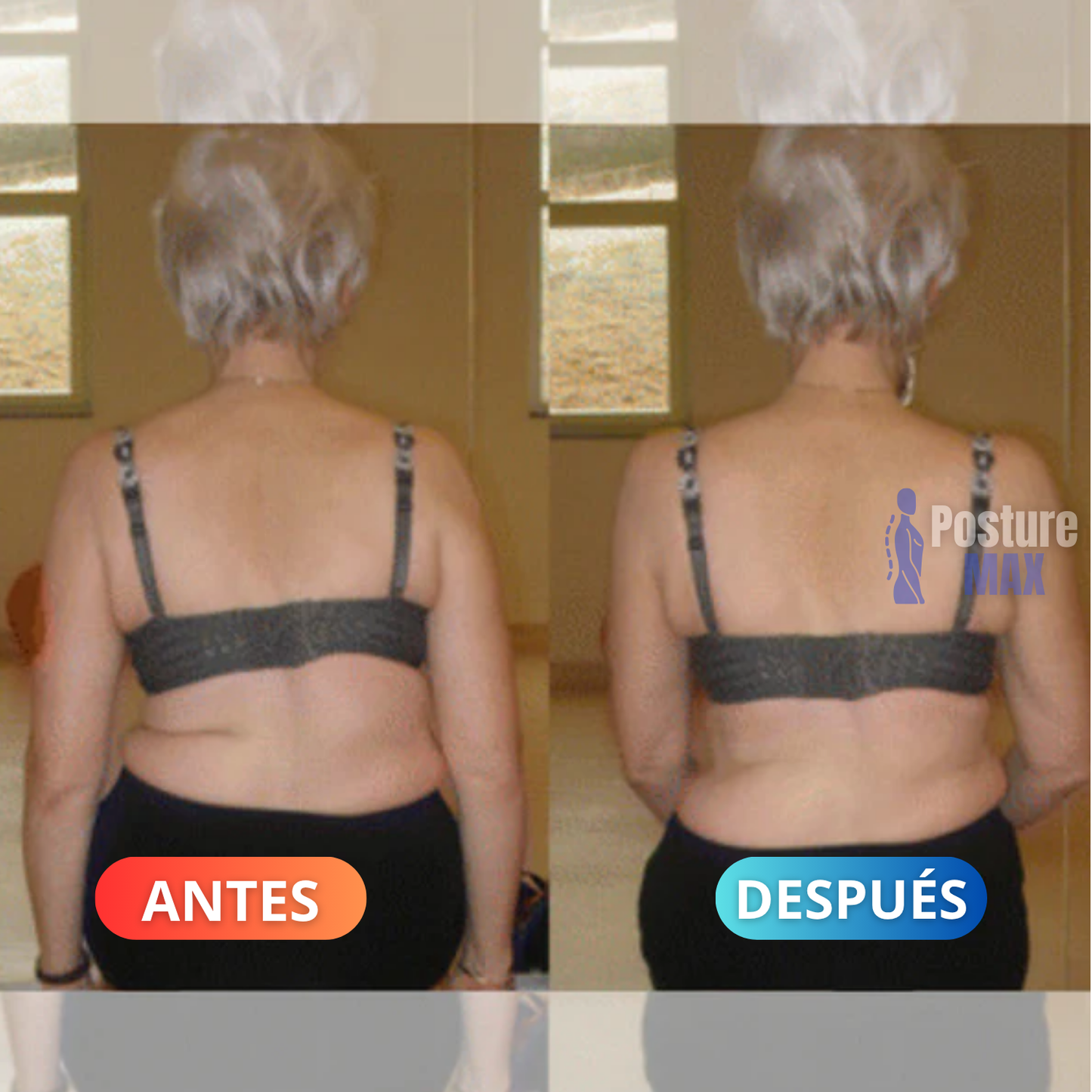 Sistema De Re-Adaptación Espinal