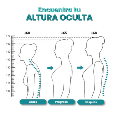 CORRECTOR POSTURAL POSTUREMAX + RODILLERAS DE REGALO CYBERMONDAY